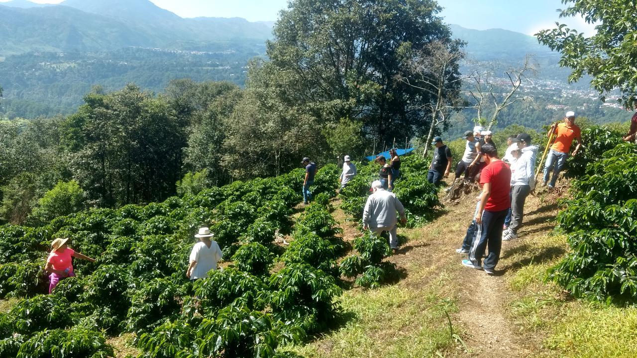 Cabanas Buenavista Huauchinango Dış mekan fotoğraf