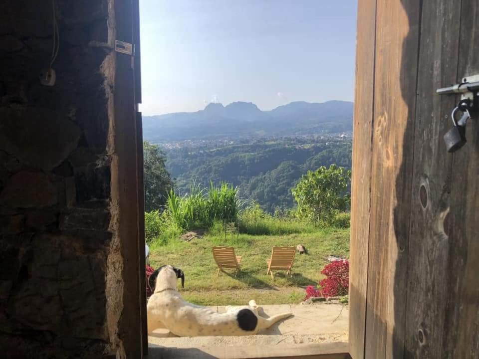 Cabanas Buenavista Huauchinango Dış mekan fotoğraf